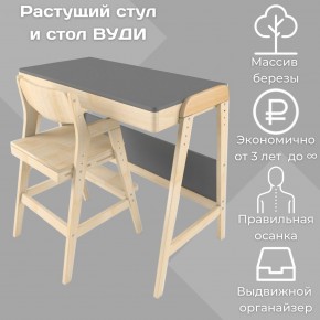 Комплект растущий стол и стул 38 попугаев «Вуди» (Серый, Без покрытия) в Каменске-Уральском - kamensk-uralskiy.mebel-74.com | фото