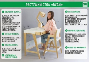Комплект растущий стол и стул с чехлом 38 попугаев «Вуди» (Белый, Береза, Ромбы) в Каменске-Уральском - kamensk-uralskiy.mebel-74.com | фото