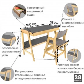 Комплект растущий стол и стул с чехлом 38 попугаев «Вуди» (Серый, Береза, Серый) в Каменске-Уральском - kamensk-uralskiy.mebel-74.com | фото