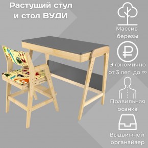 Комплект растущий стол и стул с чехлом 38 попугаев «Вуди» (Серый, Без покрытия, Монстры) в Каменске-Уральском - kamensk-uralskiy.mebel-74.com | фото