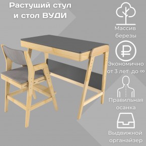 Комплект растущий стол и стул с чехлом 38 попугаев «Вуди» (Серый, Без покрытия, Серый) в Каменске-Уральском - kamensk-uralskiy.mebel-74.com | фото