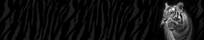 Кухонный фартук Фауна 055 МДФ матовый (3000) Fauna в Каменске-Уральском - kamensk-uralskiy.mebel-74.com | фото