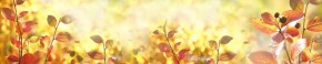 Кухонный фартук Цветы 318 МДФ матовый (3000) Flowers в Каменске-Уральском - kamensk-uralskiy.mebel-74.com | фото