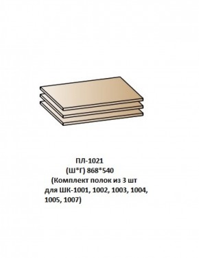 ПЛ-1021 (Комплект полок из 3 шт для ШК-1001, 1002, 1003, 1004, 1005, 1007) в Каменске-Уральском - kamensk-uralskiy.mebel-74.com | фото