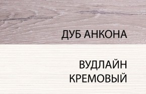 Шкаф 1DZ, OLIVIA, цвет вудлайн крем/дуб анкона в Каменске-Уральском - kamensk-uralskiy.mebel-74.com | фото