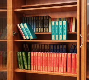 Шкаф для книг арт. 200 в Каменске-Уральском - kamensk-uralskiy.mebel-74.com | фото