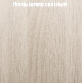 Шкаф-купе «ТАНДЕМ» 2-х дверный в алюминиевом профиле (Дверь К+К) 1200/h2200 в Каменске-Уральском - kamensk-uralskiy.mebel-74.com | фото