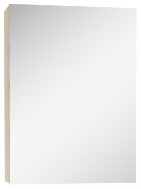 Шкаф-зеркало Мечта 40 Дуб сонома АЙСБЕРГ (DM2317HZ) в Каменске-Уральском - kamensk-uralskiy.mebel-74.com | фото