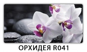 Стол обеденный Паук кофе Орхидея R041 в Каменске-Уральском - kamensk-uralskiy.mebel-74.com | фото