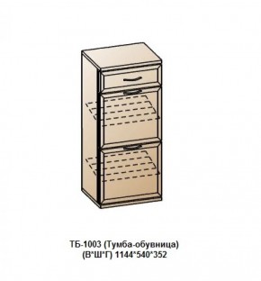 ТБ-1003 (Тумба-обувница) в Каменске-Уральском - kamensk-uralskiy.mebel-74.com | фото